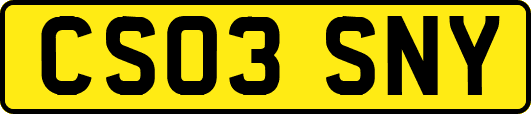 CS03SNY