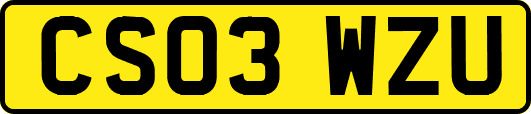 CS03WZU