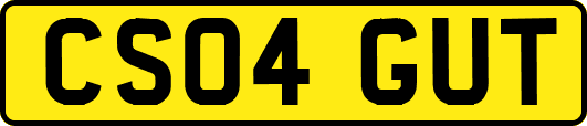 CS04GUT