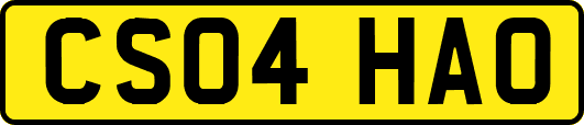 CS04HAO
