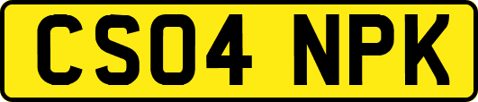 CS04NPK