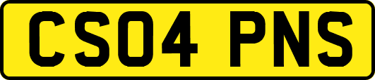 CS04PNS