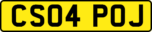 CS04POJ