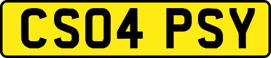 CS04PSY