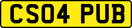 CS04PUB