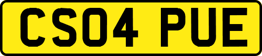 CS04PUE