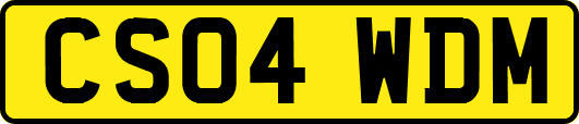 CS04WDM