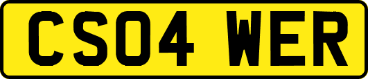 CS04WER