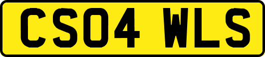 CS04WLS