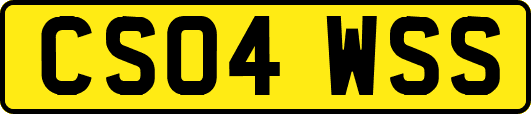 CS04WSS