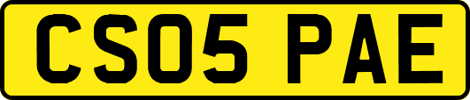 CS05PAE