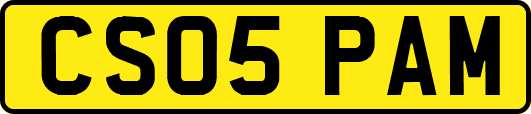 CS05PAM
