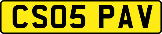 CS05PAV
