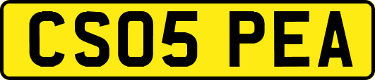 CS05PEA