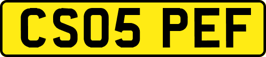 CS05PEF