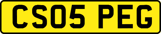 CS05PEG