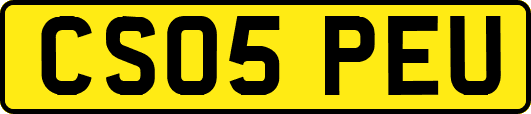 CS05PEU