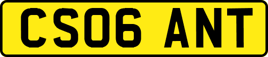 CS06ANT