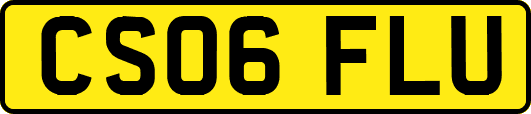 CS06FLU