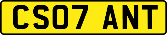 CS07ANT