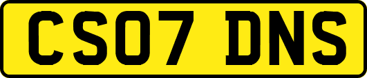 CS07DNS