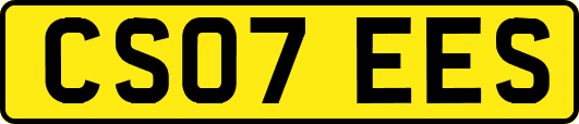 CS07EES