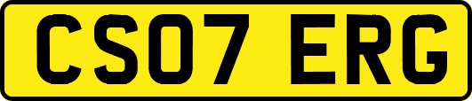 CS07ERG
