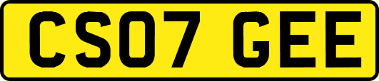 CS07GEE
