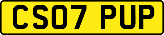CS07PUP