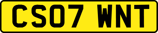 CS07WNT