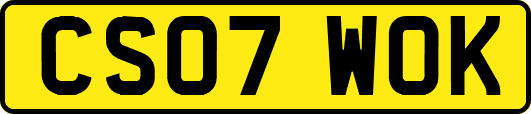 CS07WOK