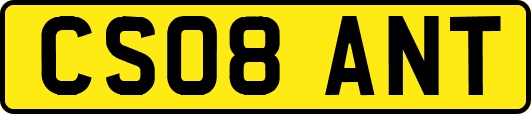CS08ANT