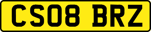 CS08BRZ