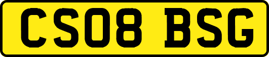 CS08BSG