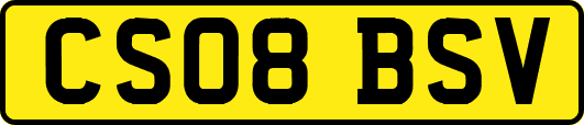 CS08BSV