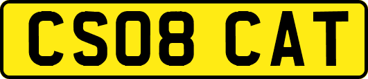 CS08CAT