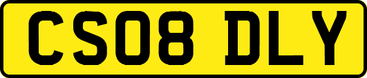 CS08DLY