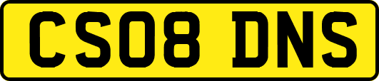 CS08DNS