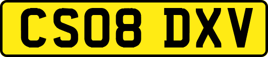 CS08DXV