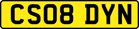 CS08DYN
