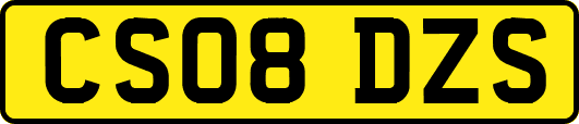 CS08DZS