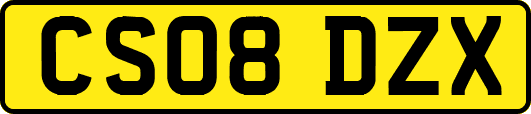 CS08DZX