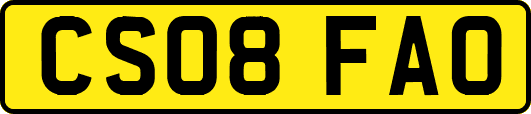 CS08FAO