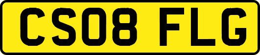 CS08FLG