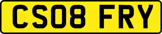 CS08FRY