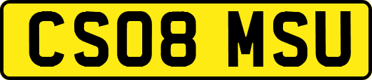 CS08MSU