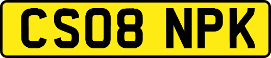 CS08NPK