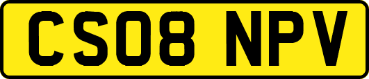 CS08NPV