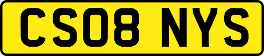 CS08NYS