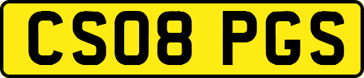 CS08PGS